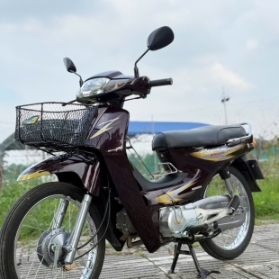 Dream Lùn cá mập 1999 đẹp như mới